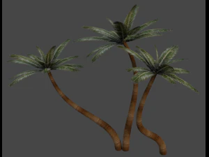 palm trees in the desert 3D Model