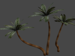 palm trees in the desert 3D Model