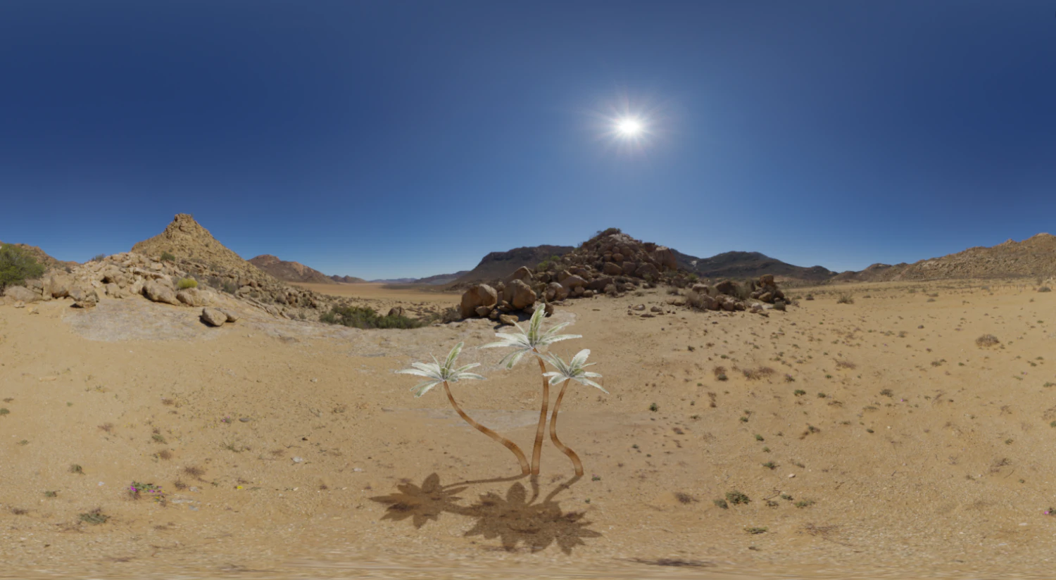 palm trees in the desert 3D Model .c4d .max .obj .3ds .fbx .stl .blend