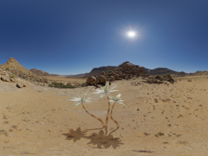 palm trees in the desert 3D Модель