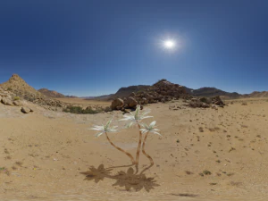 &ccedil;&ouml;ldeki palmiye ağa&ccedil;ları 3D Model