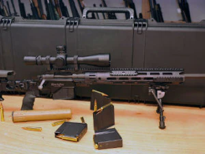 sniper m 2010 3D Model