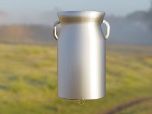 Metallic milk jug Model 3D