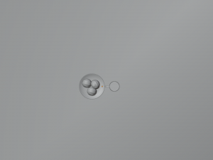 Honduran Semitas and Coffee Modelo 3D
