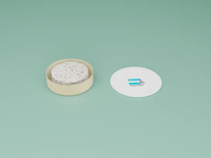 Honduran Corn Tortillas 3D Model