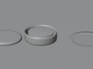 Honduran Corn Tortillas 3D Model