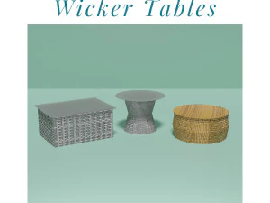 Ensemble de tables en osier Modèle 3D