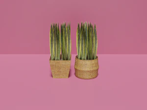 Hasır &Ccedil;i&ccedil;ek Sepetleri Seti 3D Model