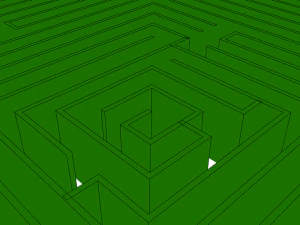 labyrinth 3D Model