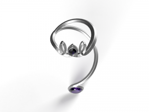 Curved Ring 3D Modèle 3D