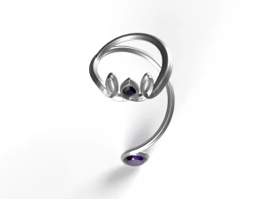 Curved Ring 3D 3D Model