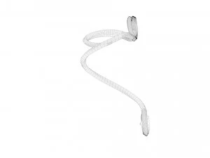 Curved Ring 3D 3D Model