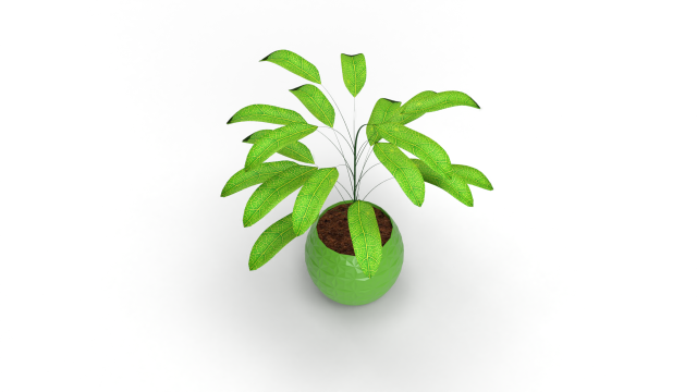 3D Vase Plant model 3D Model .c4d .max .obj .3ds .fbx .stl .blend 