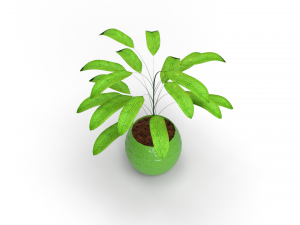 3D Vase Plant model 3D Models
