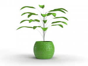 3D Vase Plant model 3D Model