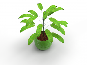 3D Vase Plant model 3D Model