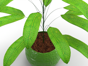 3D Vase Plant model 3D Model