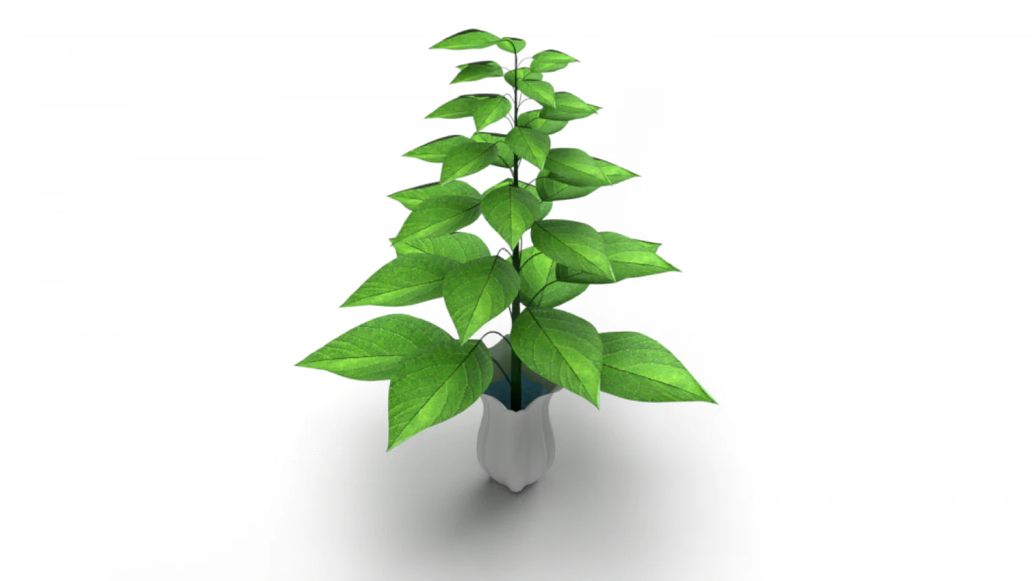 Plant with vase 3D Model .c4d .max .obj .3ds .fbx .stl .blend