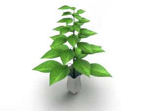 Plante avec vase Modèle 3D