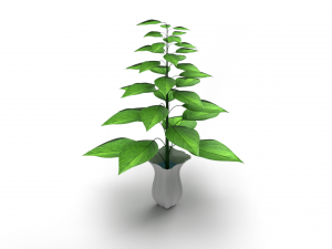 Plant with vase Modelo 3D