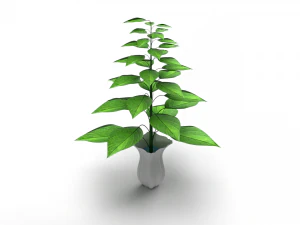 Plant with vase 3D Model