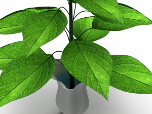 Plant with vase Modelo 3D