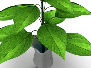 Plant with vase 3D Model