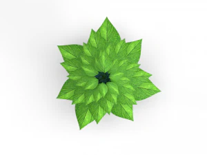 Plant with vase 3D Model