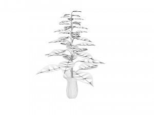 Plant with vase Modelo 3D