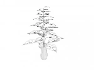 Plant with vase 3D Model