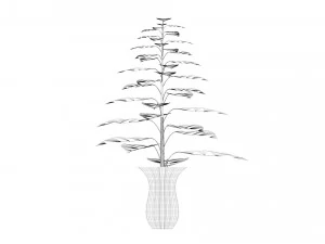 Plant with vase 3D Model