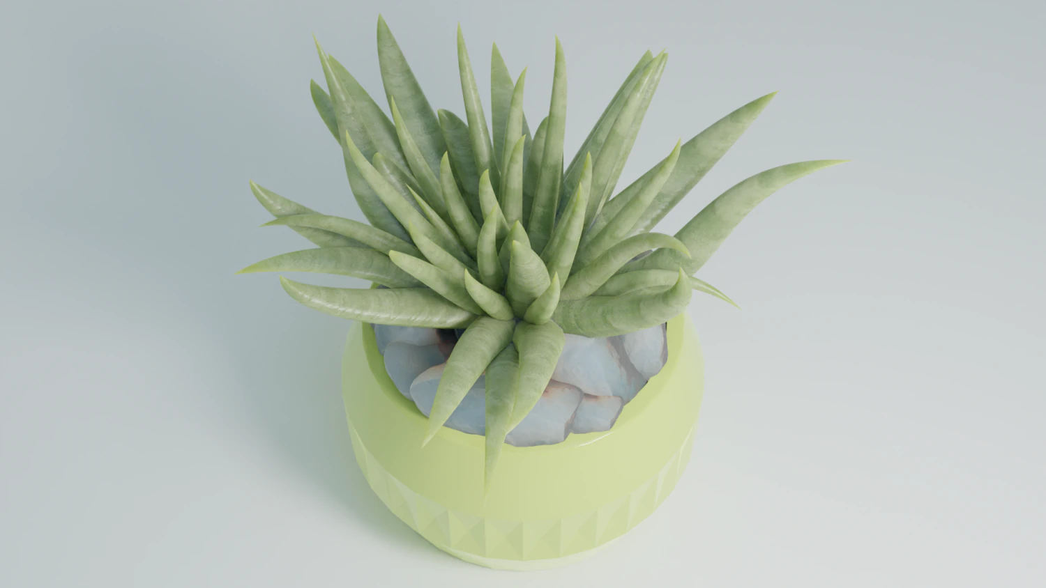 3D House plant in a green vase 3D Model .c4d .max .obj .3ds .fbx .stl .blend 