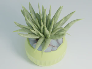 3D House plant in a green vase 3D Model