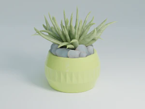 3D House plant in a green vase 3D Model
