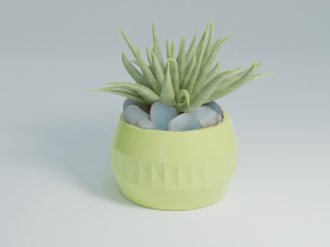 3D House plant in a green vase Modèle 3D