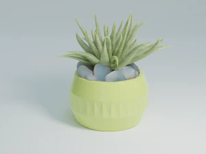 3D House plant in a green vase 3D Model