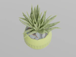 3D House plant in a green vase 3D Model