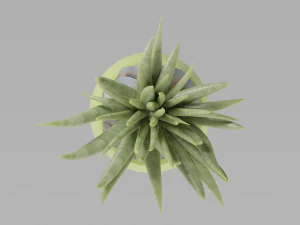 3D House plant in a green vase 3D Model
