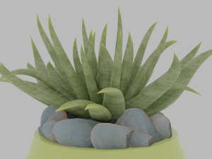 3D House plant in a green vase Modèle 3D