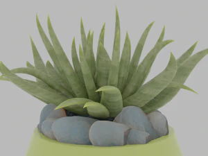 3D House plant in a green vase 3D Model