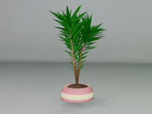 Small tree Modelo 3D