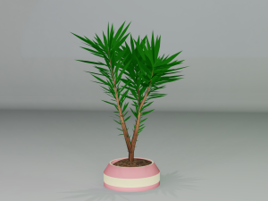 Small tree 3D Model