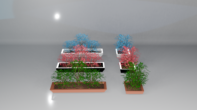 Pots with different colored plants Modello 3D .c4d .max .obj .3ds .fbx .stl .blend 
