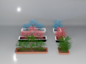 Pots with different colored plants 3D 模型