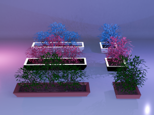 Pots with different colored plants Modello 3D