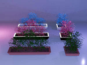 Pots with different colored plants 3D Model