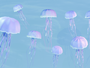 Beautiful jellyfish 3D Model