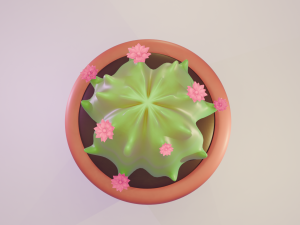 Cactus with flowers 3D मॉडल