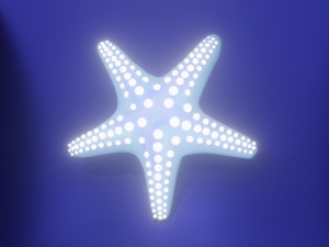 Starfish different colors Modèle 3D