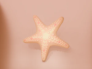 Starfish different colors 3D Model